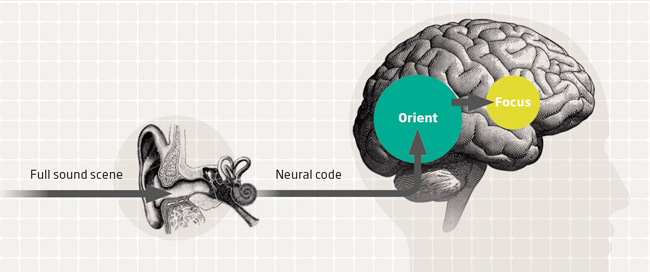 brainhearing