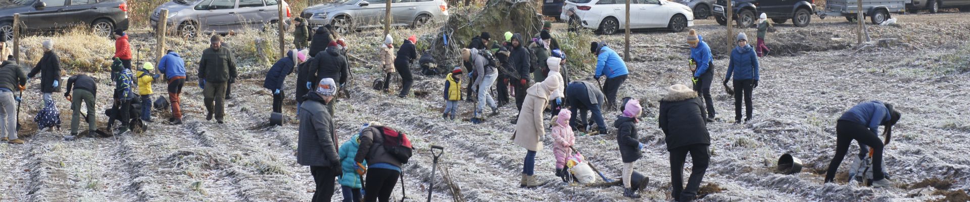 sadzimy_las_3_blogpostimage