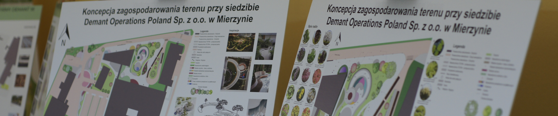 zut_konkurs_na_zagospodarowanie_terenu_w_tekscie_blog_post_image