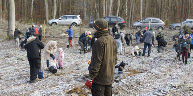 sadzimy_las_3_blogpostimage