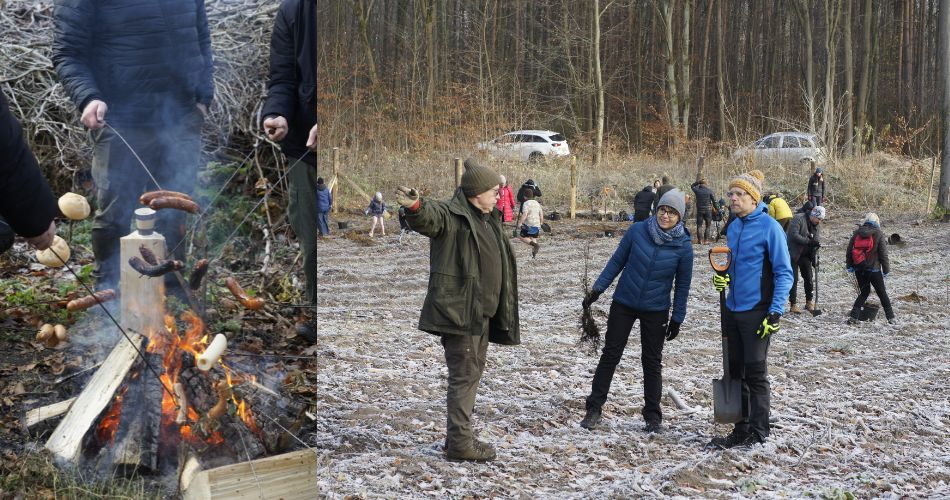 sadzimy_las_3_zdjecie_w_tekscie_4