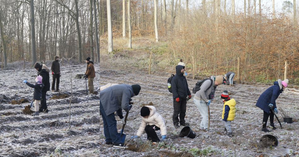 sadzimy_las_3_zdjecie_w_tekscie_5