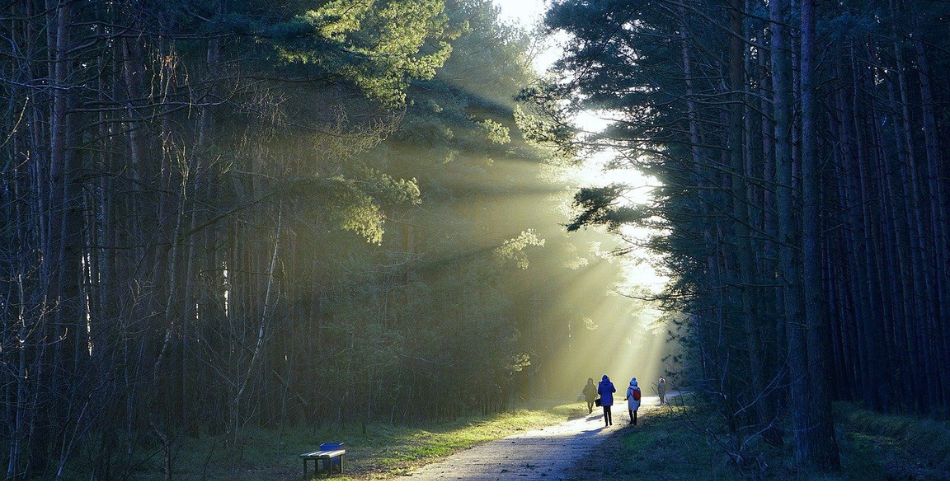 zdrowy_styl_zycia_w_tekscie_1