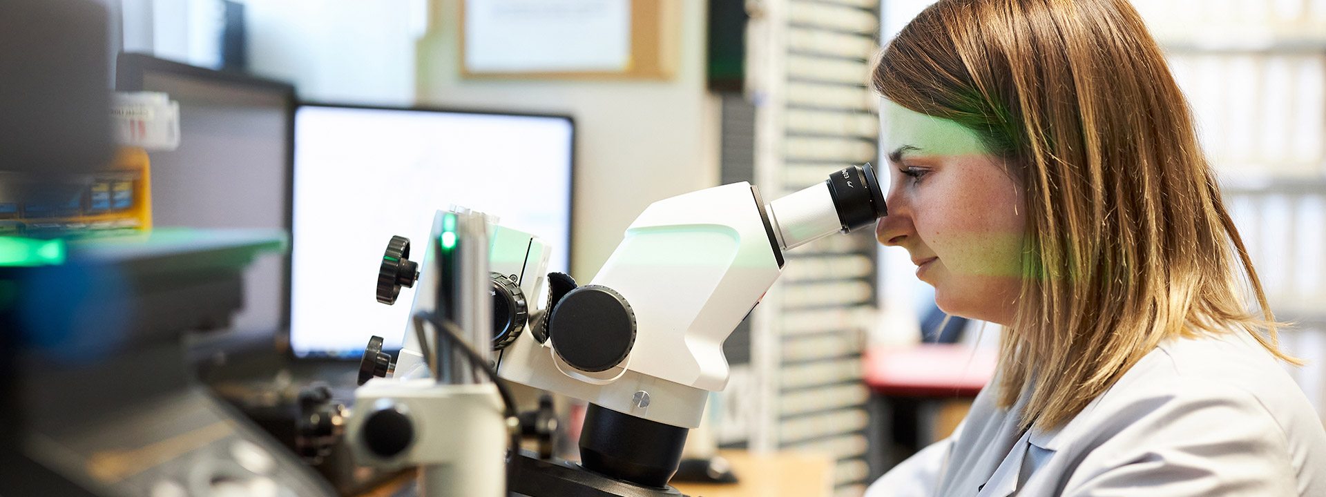 docz-do-dgs-_1920x720