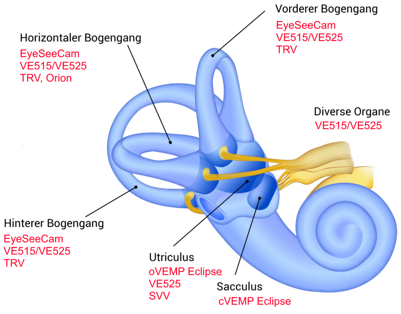 Schwindel und Gleichgewicht - DIATEC