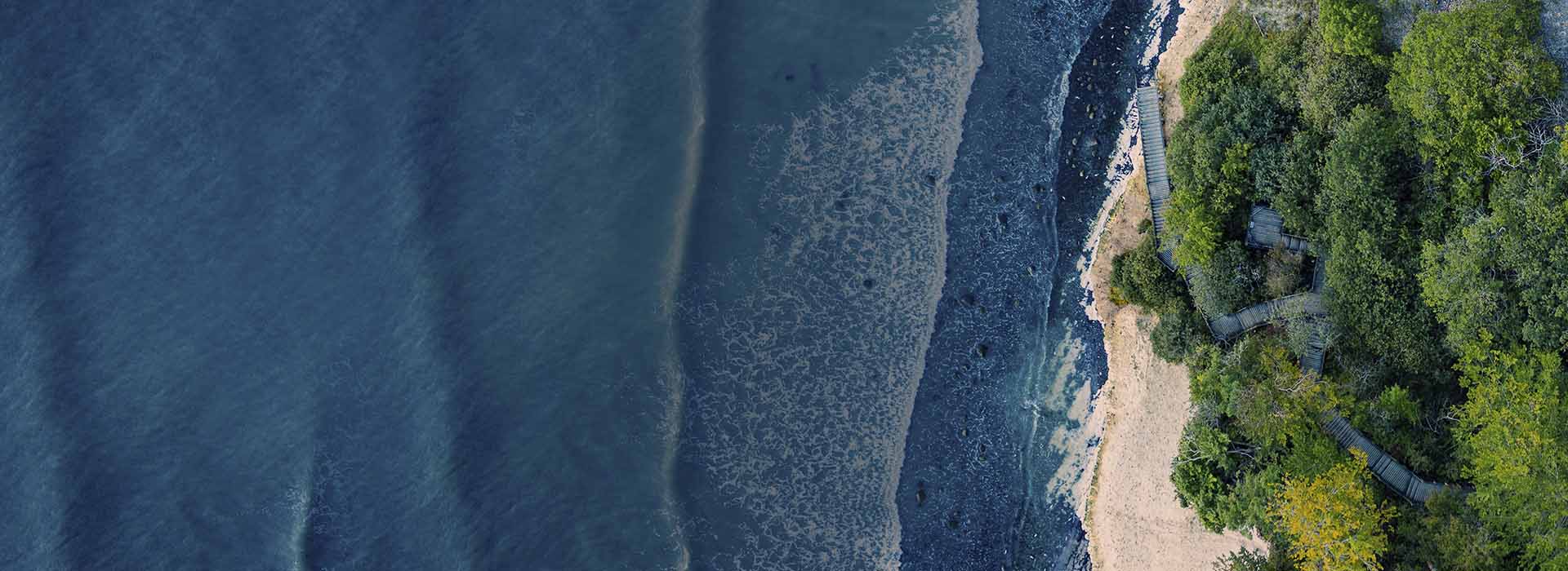 An aerial-view image of a road that sits between the forest and the ocean beach. A small car is parked to the side of the road.