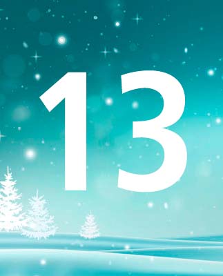 door-13
