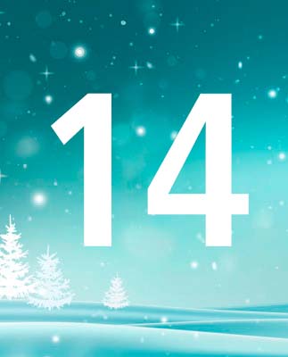 door-14