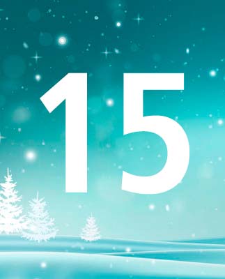 door-15
