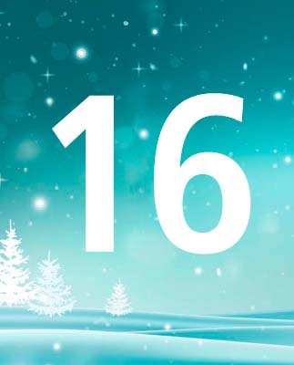 door-16