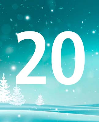 door-20