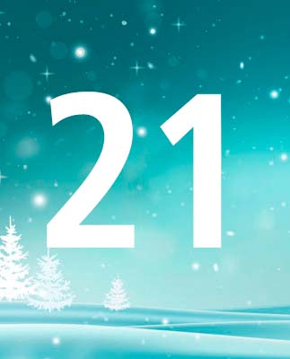 door-21