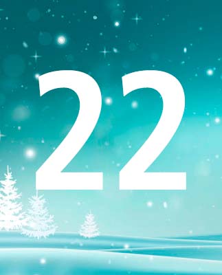 door-22