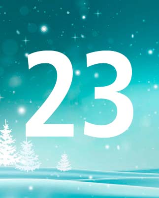 door-23