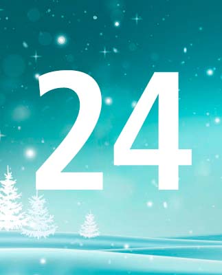 door-24