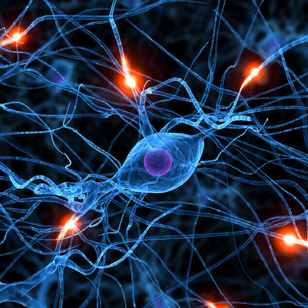 udito-cervello-maico-imagespot-1