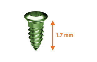 310x200-fixation-screw