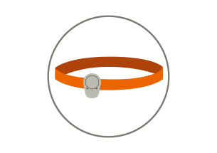 305x215-trial-period