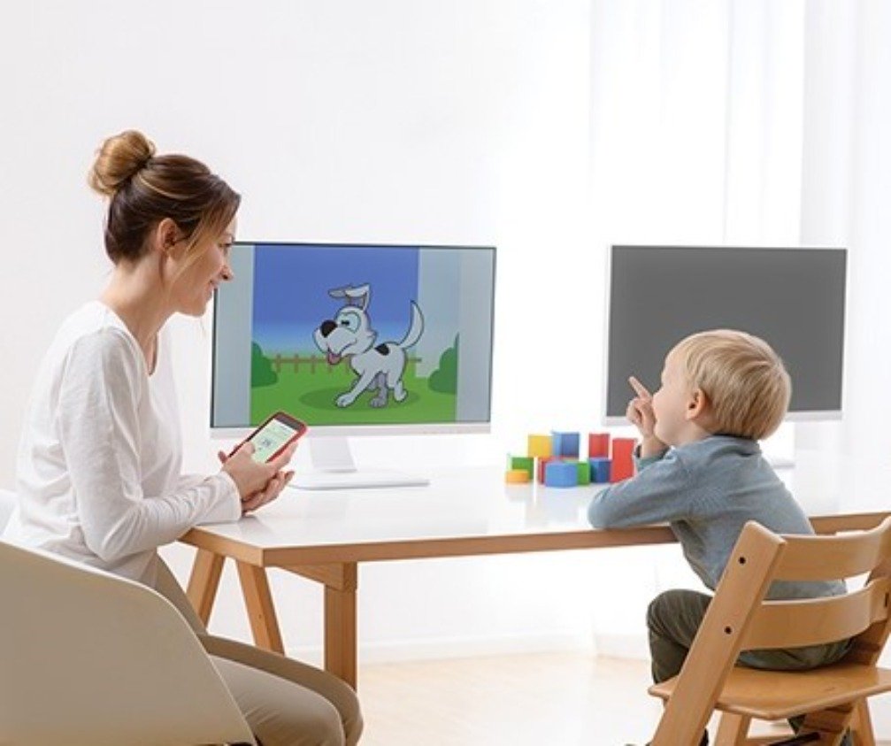 vra-picture-product-page