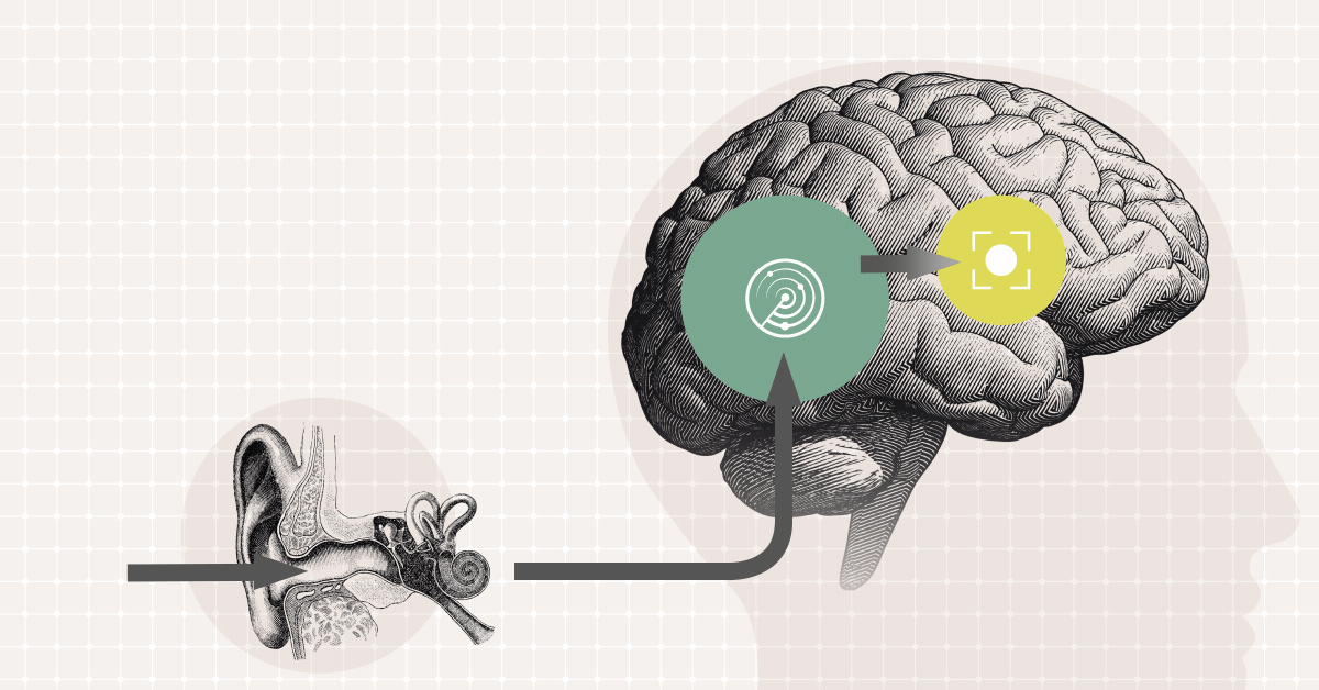 why-your-brain-is-important