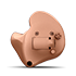 Full-Shell hoortoestellen 
