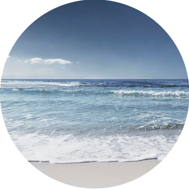 fr-tinnitus-sea-382x382-transp