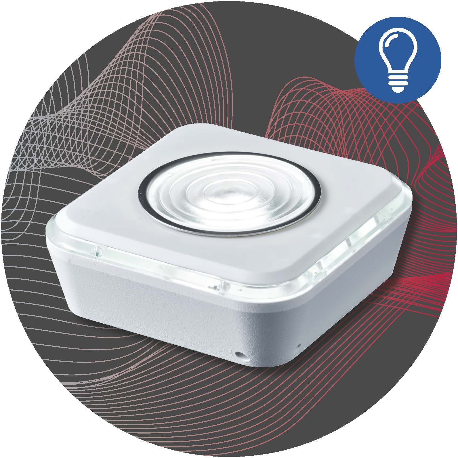 flash_pro_cirkel_382x382