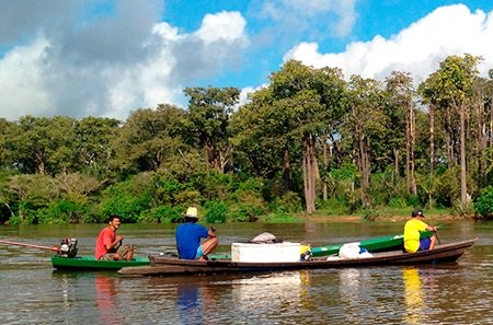 amazonas1