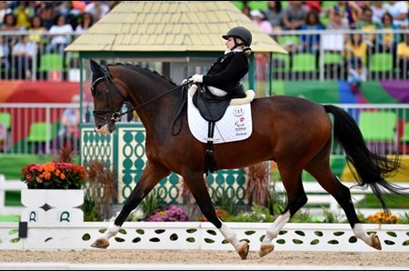 billede-5_paralympics