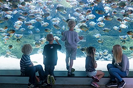 blueplanet_front