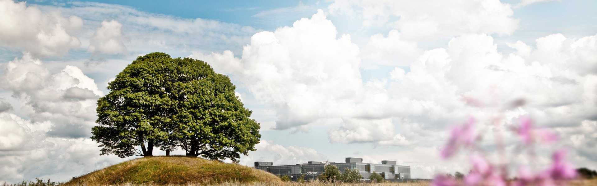 About Oticon Medical