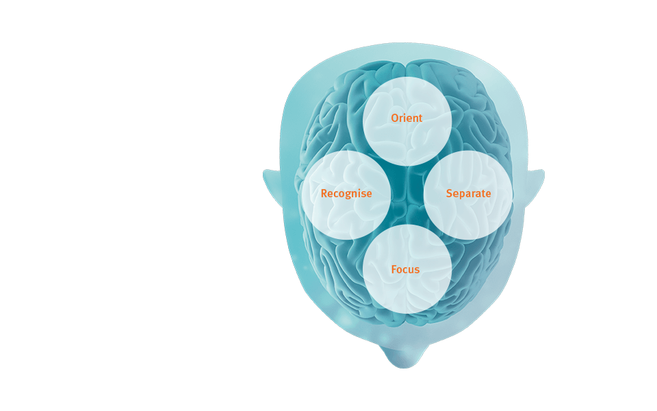 BrainHearing