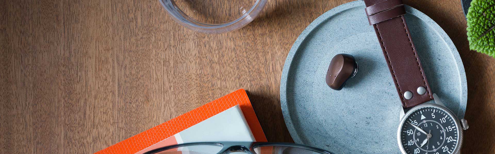 Ponto 4 introduction - Oticon Medical