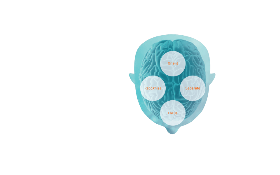 BrainHearing