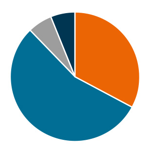 Clinical results of the bone anchored hearing systems